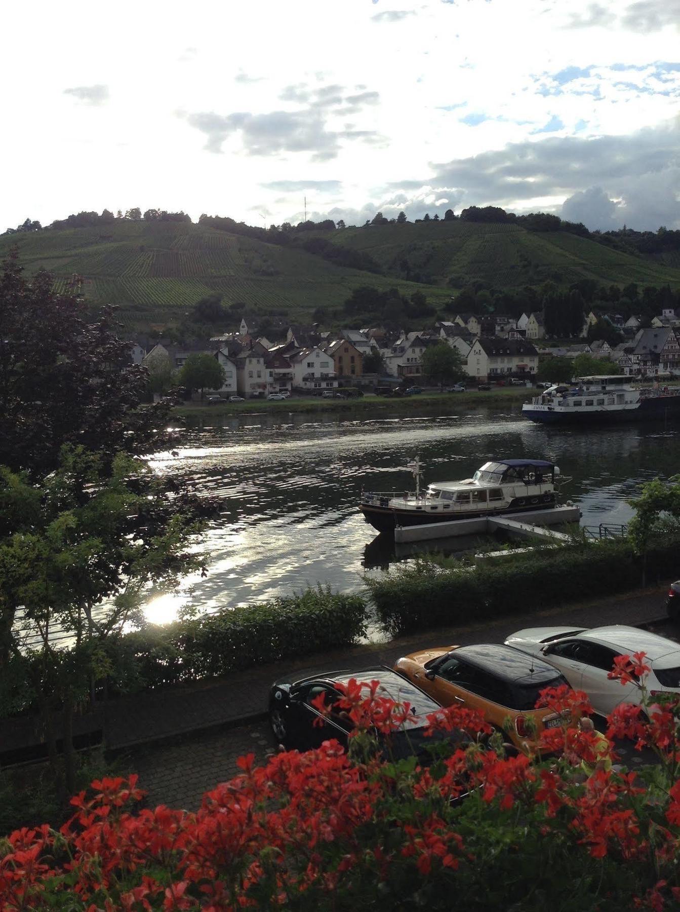 Апартаменты Mosel Panorama Целль-ан-дер-Мозель Экстерьер фото