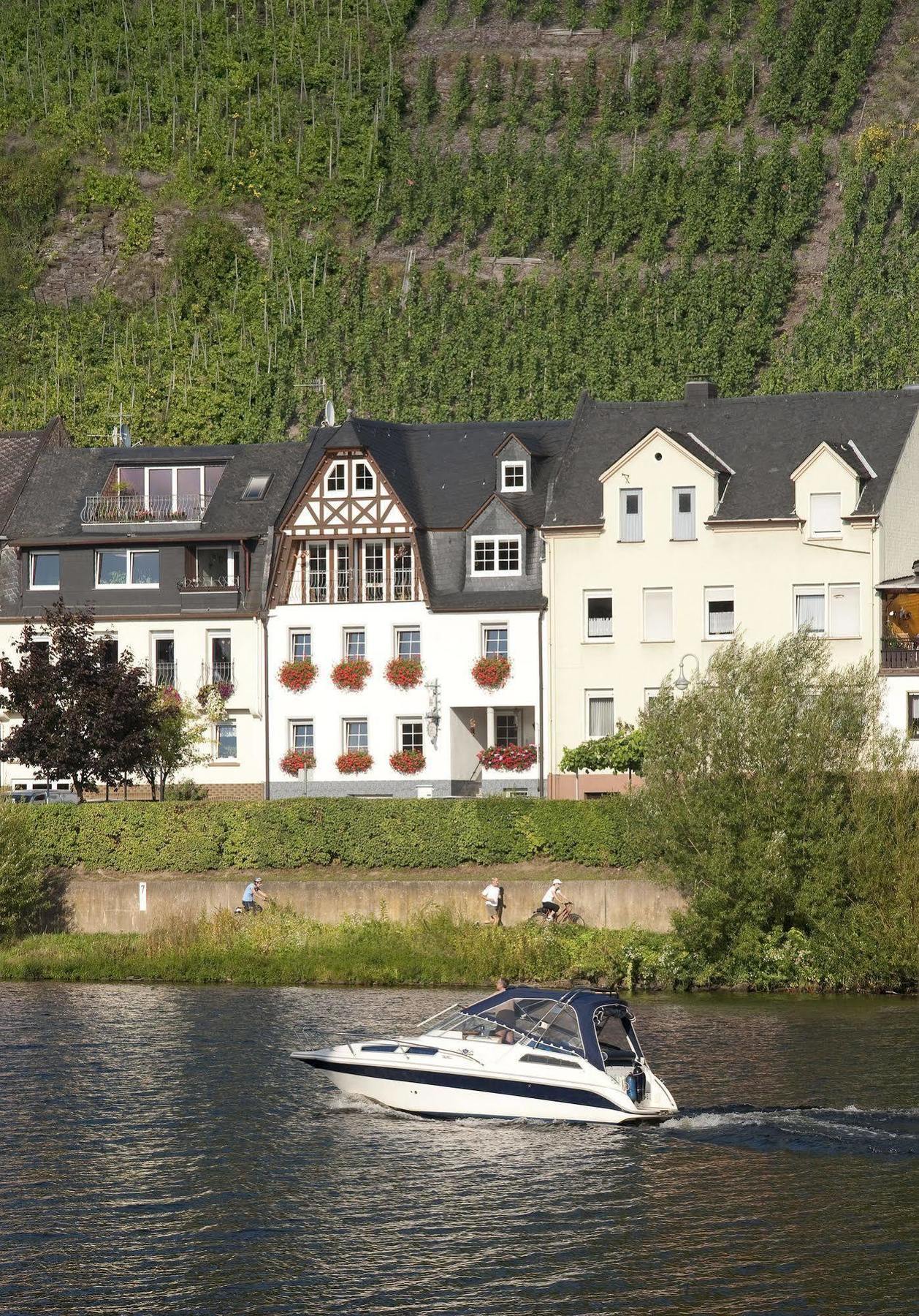 Апартаменты Mosel Panorama Целль-ан-дер-Мозель Экстерьер фото